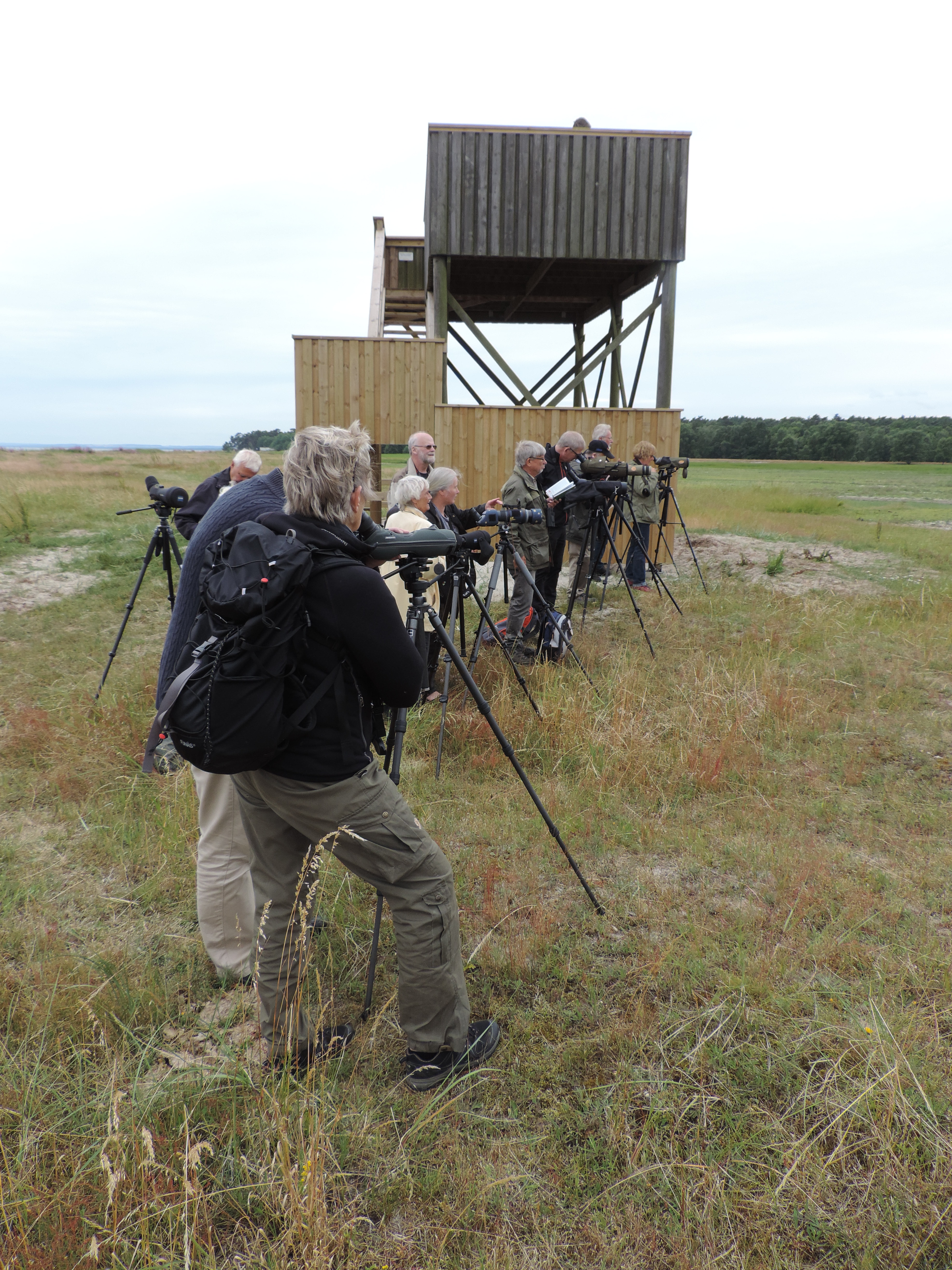 2:a vadraspaningen. Foto: Bertil Troberg